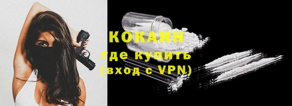 мдпв Богородицк