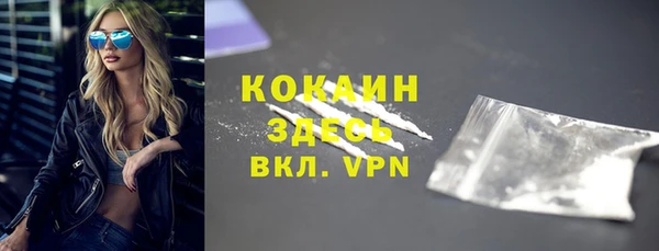 мдпв Богородицк