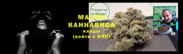 мдпв Богородицк