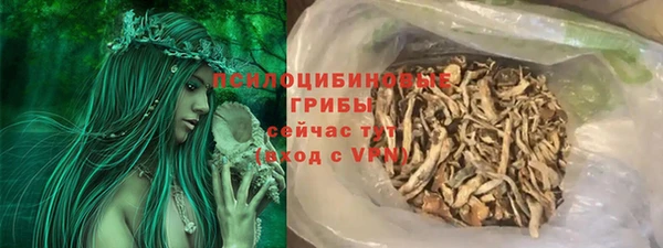 мдпв Богородицк