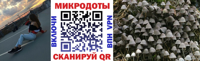 Псилоцибиновые грибы ЛСД  Коркино 
