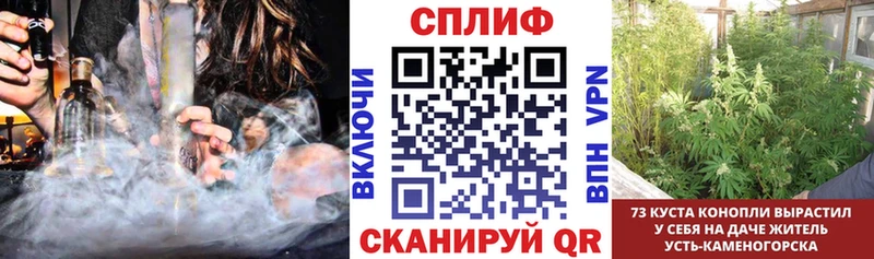 Каннабис семена Коркино